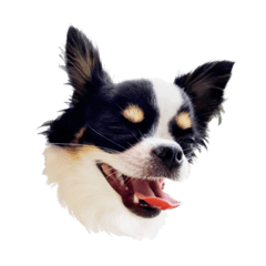 チャコチワスタンプ