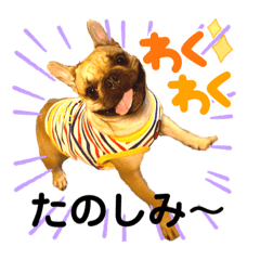 フレブルそら日記③