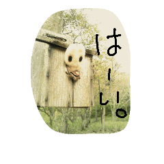 アンポンタンの写真スタンプ