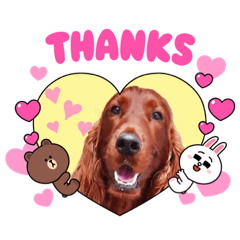 ルーニーとブラウン達