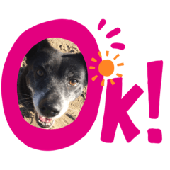 さんこの日常スタンプ