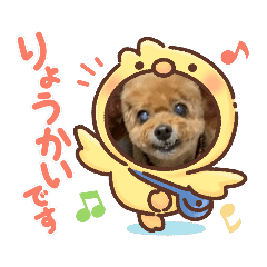 グランちゃん❤️トイプー可愛いスタンプ❤️