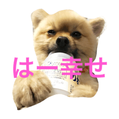 まるさんかくしーかく。