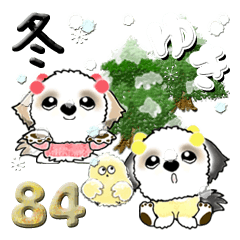 シーズー犬 84『冬』