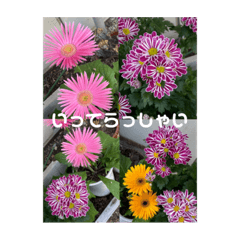 花とクラフトと…