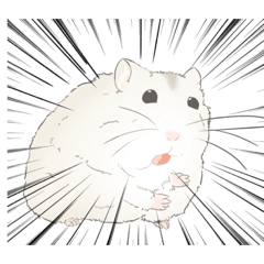 こんにちはむすたー