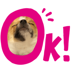 我が家のここちスタンプ