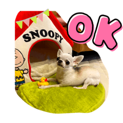 ころんのすたんぷ3