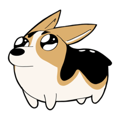 Corgi n Shiba