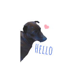 Emily_20220625113328