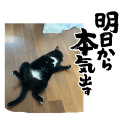 黒猫さんスタンプ