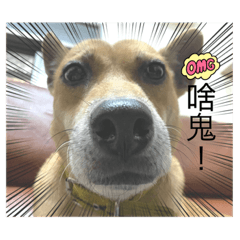 TSUME_20221031213302