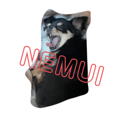 仲良しファミリー☆