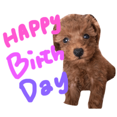 ふぁぁぁぁみりー