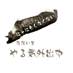 光ーちゃんと花のステッカー