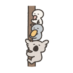 アルとグレ5     コアラ