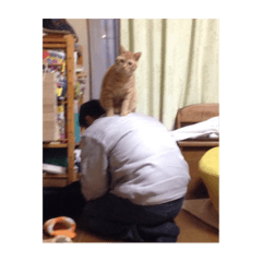 むぎまろの可愛いスタンプ