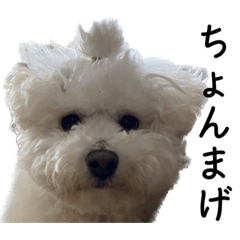 ジル&テト使えなさそうで使えるスタンプ1