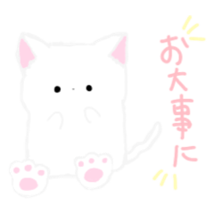 にゃんこのみー