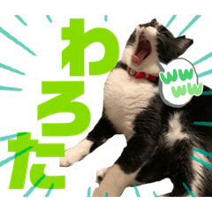 井上さんとこの仲間達 クセ強編5