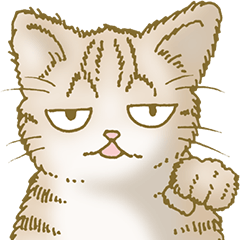 猫大好き！（大）その45　（基本）