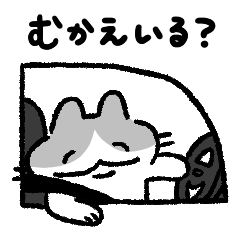 ンオ〜！家族・共同生活ねこ！