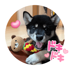 黒こたスタンプ