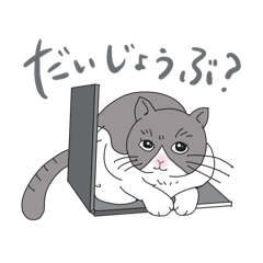 ネコ　あたちは光子