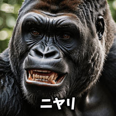 表情ゴリラ40連発！