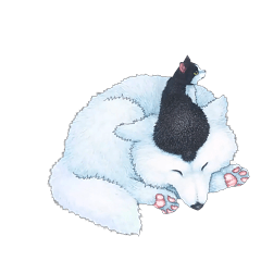 Little Black & Big White : A Furry Day