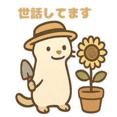 スローライフフェレット