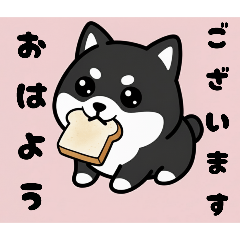 かわいい黒柴くんの日常