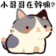 Talk Cat Ball  Flirtng Special