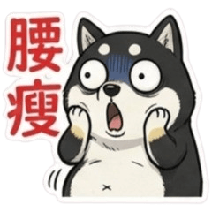 This Dog Can | Taiwanese Slang