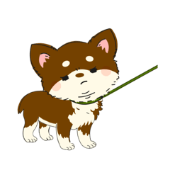 茶チワワのきもち