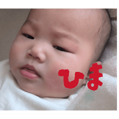 りんちゃんのかわかわすたんぷ