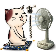 昭和感じるエモ猫