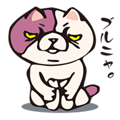 ぶさネコのブルニャ。