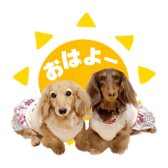 うちの子スタンプ☆メルカレちゃん☆