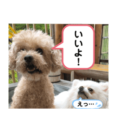 チロル&マロン&コロン