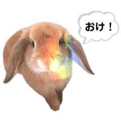 ステファニースタンプ⑦