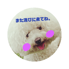 ビションでスタンプ