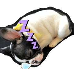 フレブル eve＋お友だち2