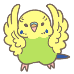 セキセイだよ！