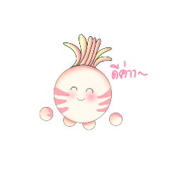 box and Radish