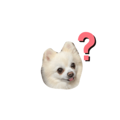 マロンジュエルスタンプ