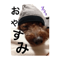 ももちゃんスタンプ: