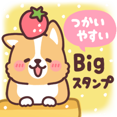 まるまるコーギー Bigスタンプ