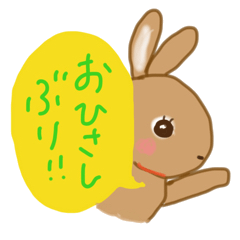 マシェリの毎日