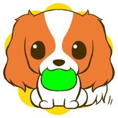 キャバリアたん